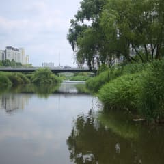 midsommar-tanriver_0013