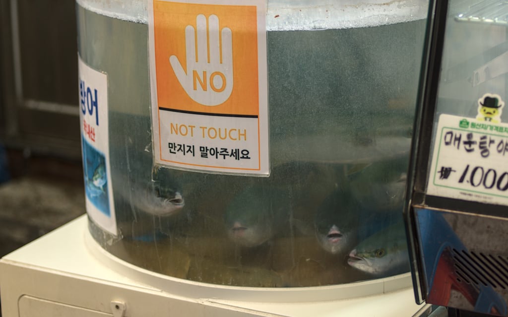 Seoul-Market_0026