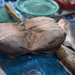 Seoul-Market_0019