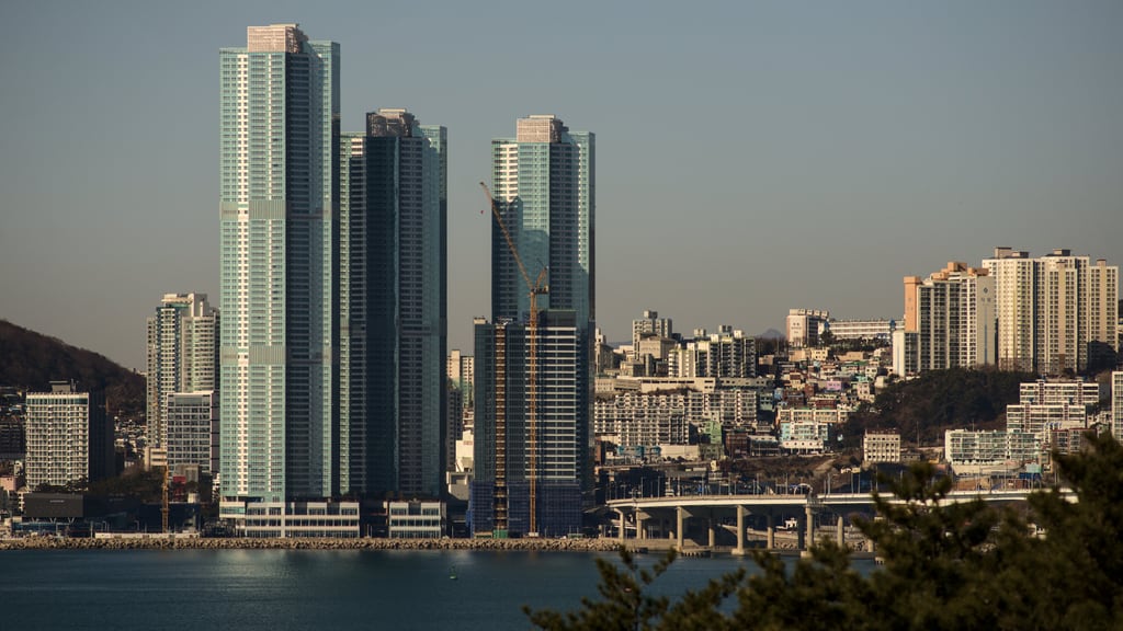 busan-trip_0001