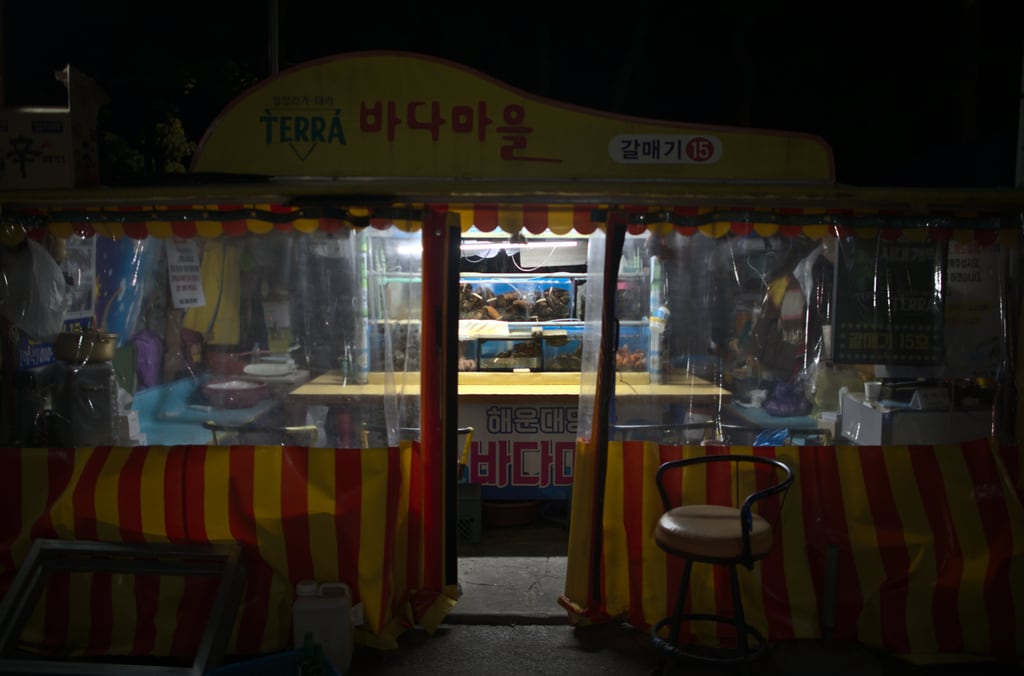 busan-trip_0057
