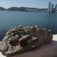 busan-trip_0031