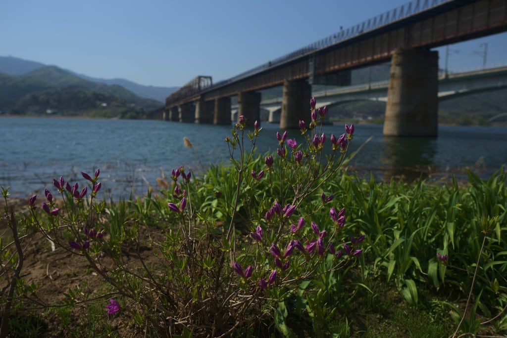 Yangsu_0004