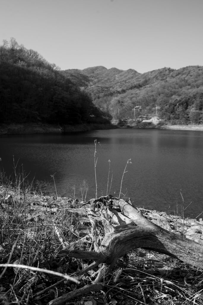 Yangsu_0018