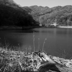 Yangsu_0018