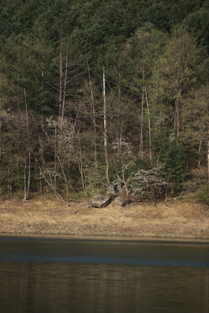 Yangsu_0021