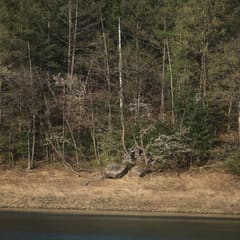 Yangsu_0021