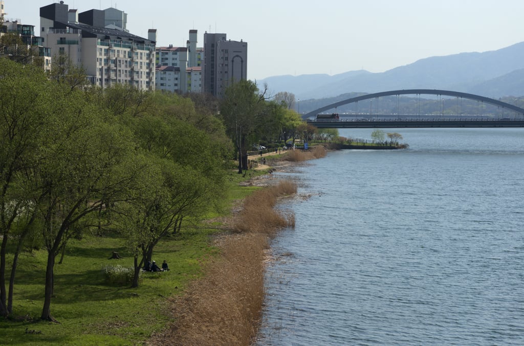 Yangsu_0009