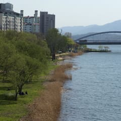 Yangsu_0009