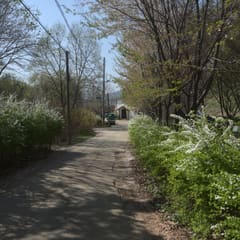 Yangsu_0002