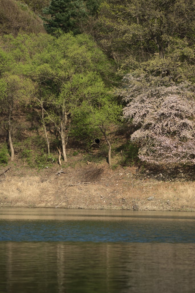 Yangsu_0022