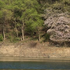 Yangsu_0022