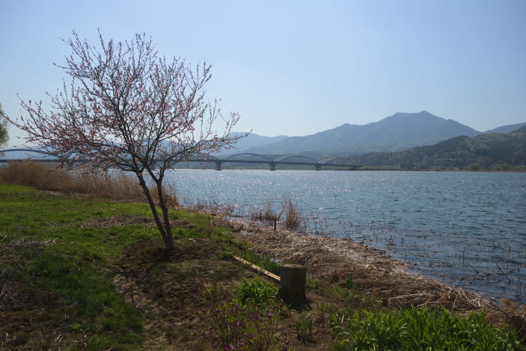 Yangsu_0005