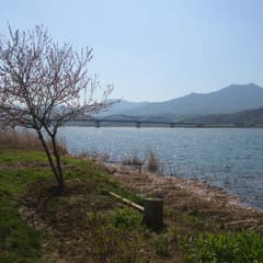 Yangsu_0005