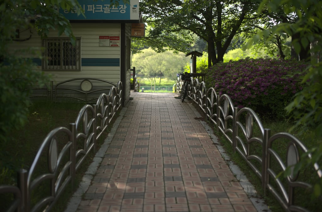 Bundang_0012