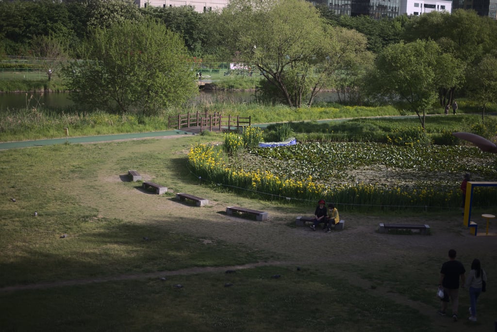 Bundang_0005