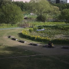 Bundang_0005