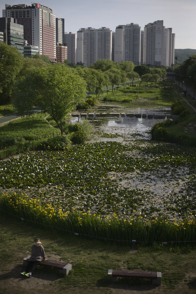 Bundang_0009