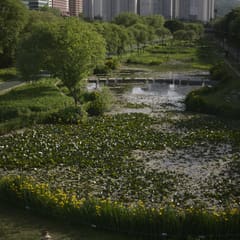 Bundang_0009