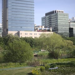 Bundang_0006