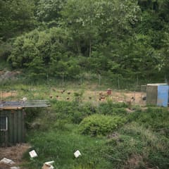 Daebundo_0040