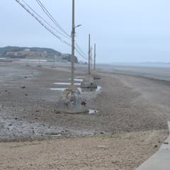 Daebundo_0048