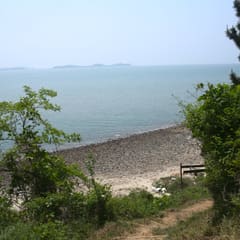 Daebundo_0088