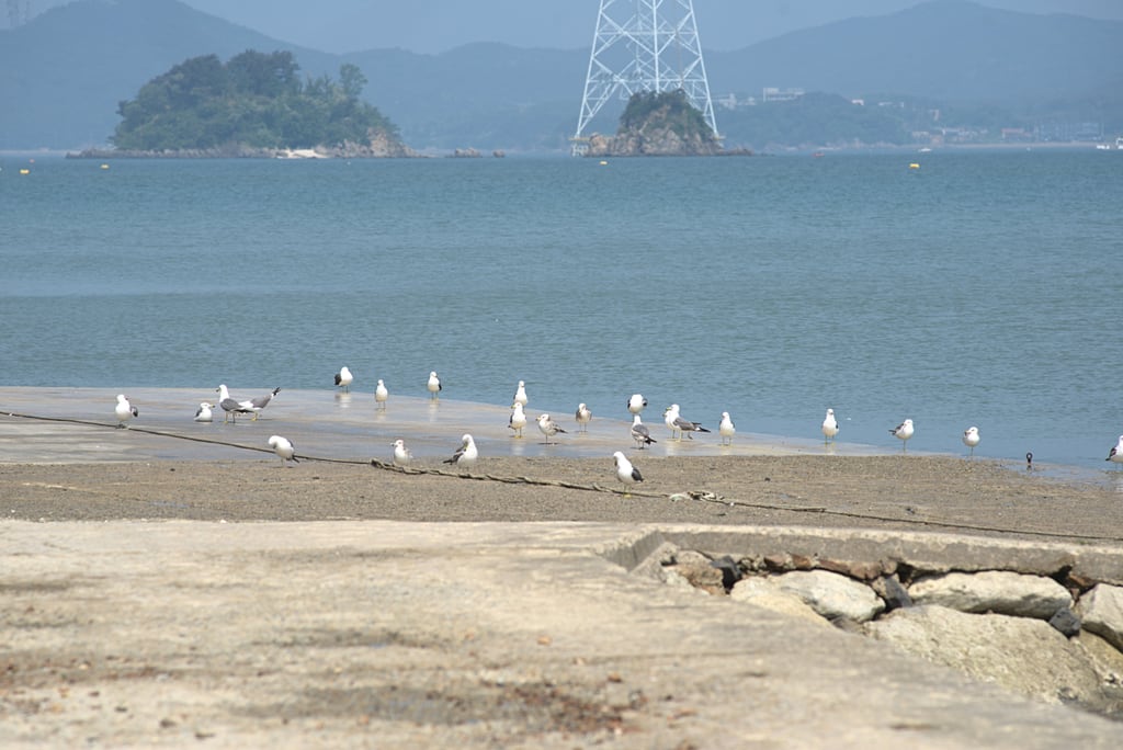 Daebundo_0071