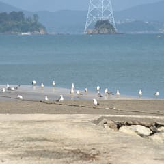 Daebundo_0071