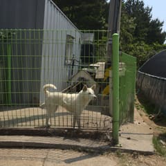 Daebundo_0082