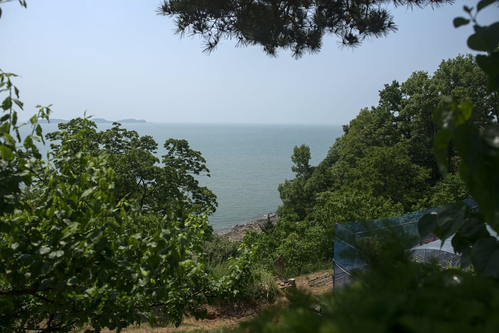 Daebundo_0084