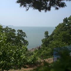 Daebundo_0084