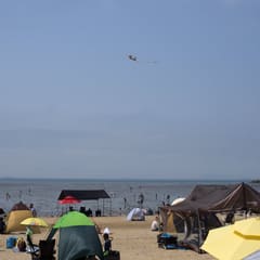 Daebundo_0004
