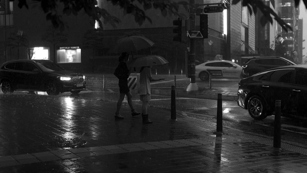 Pangyo-Rain_0010