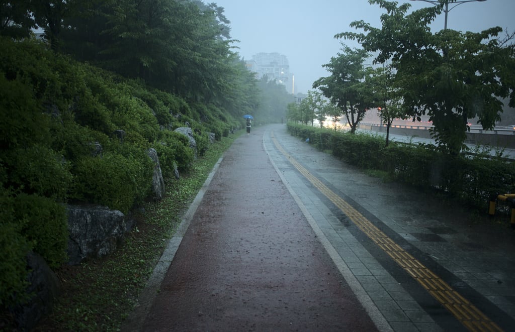 Pangyo-Rain_0003