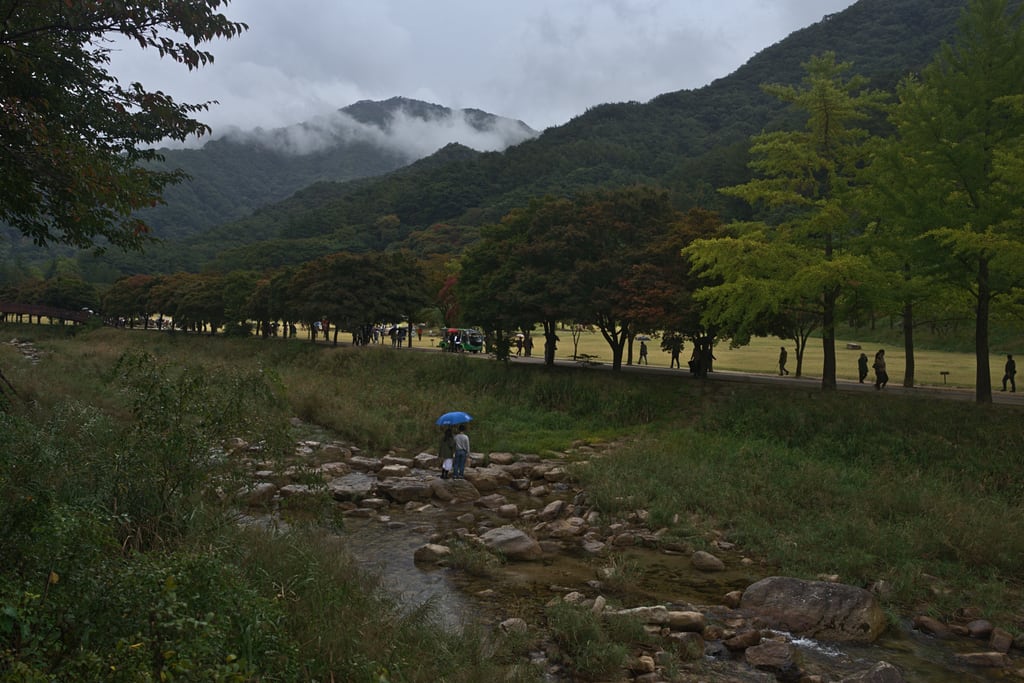 andong_0012