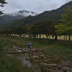 andong_0012