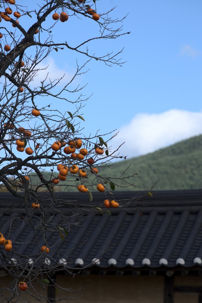 andong_hahoe_0062