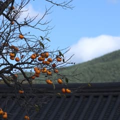 andong_hahoe_0062