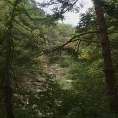 andong_0022