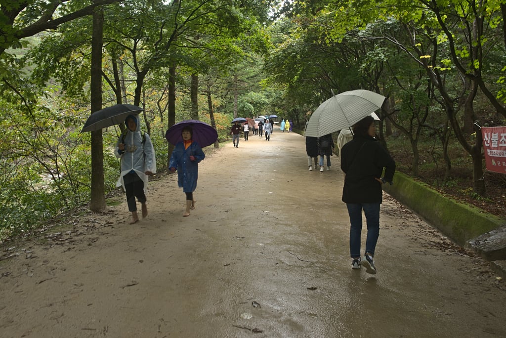 andong_0024