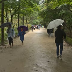 andong_0024
