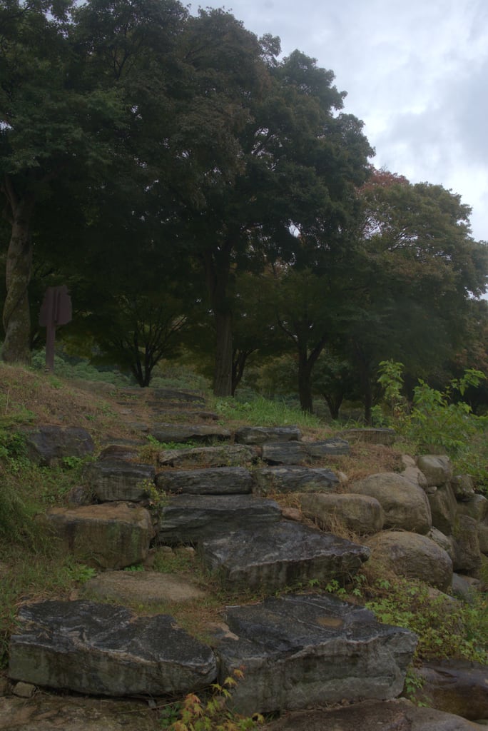andong_0014