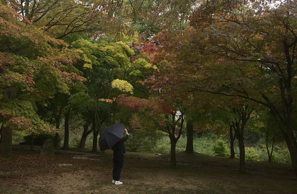 andong_0020