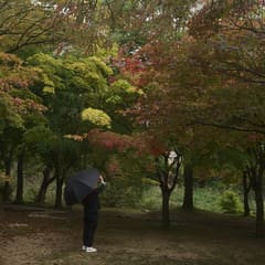 andong_0020