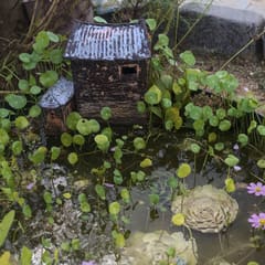 andong_hahoe_0036