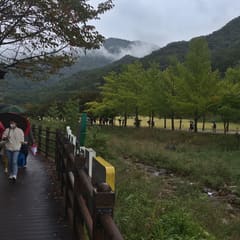 andong_0011