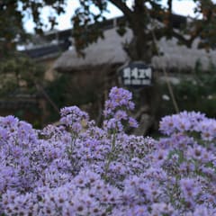 andong_hahoe_0025