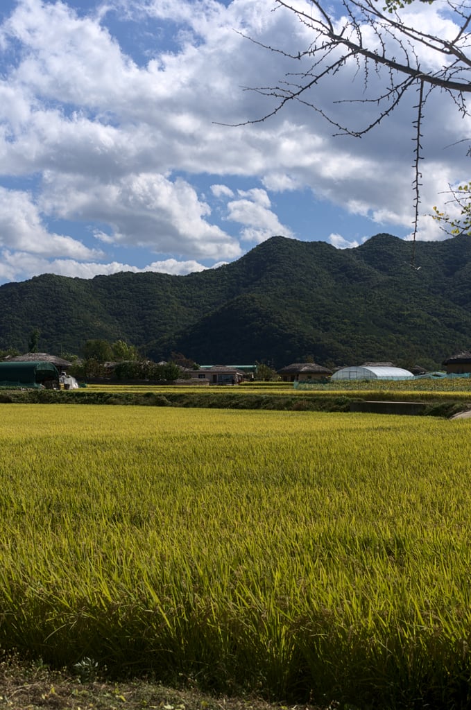 andong_hahoe_0066