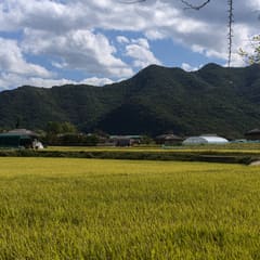 andong_hahoe_0066